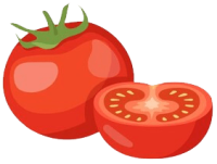 tomate